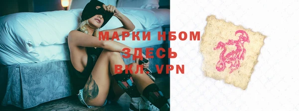 шишки Алзамай
