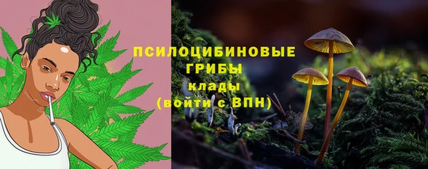 шишки Алзамай