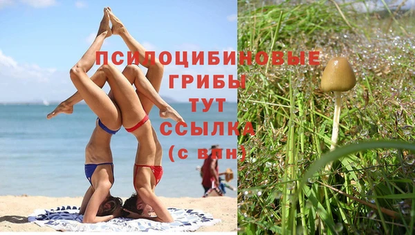 каннабис Алексеевка