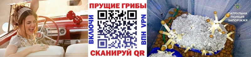 магазин  наркотиков  Кулебаки  Псилоцибиновые грибы мухоморы 